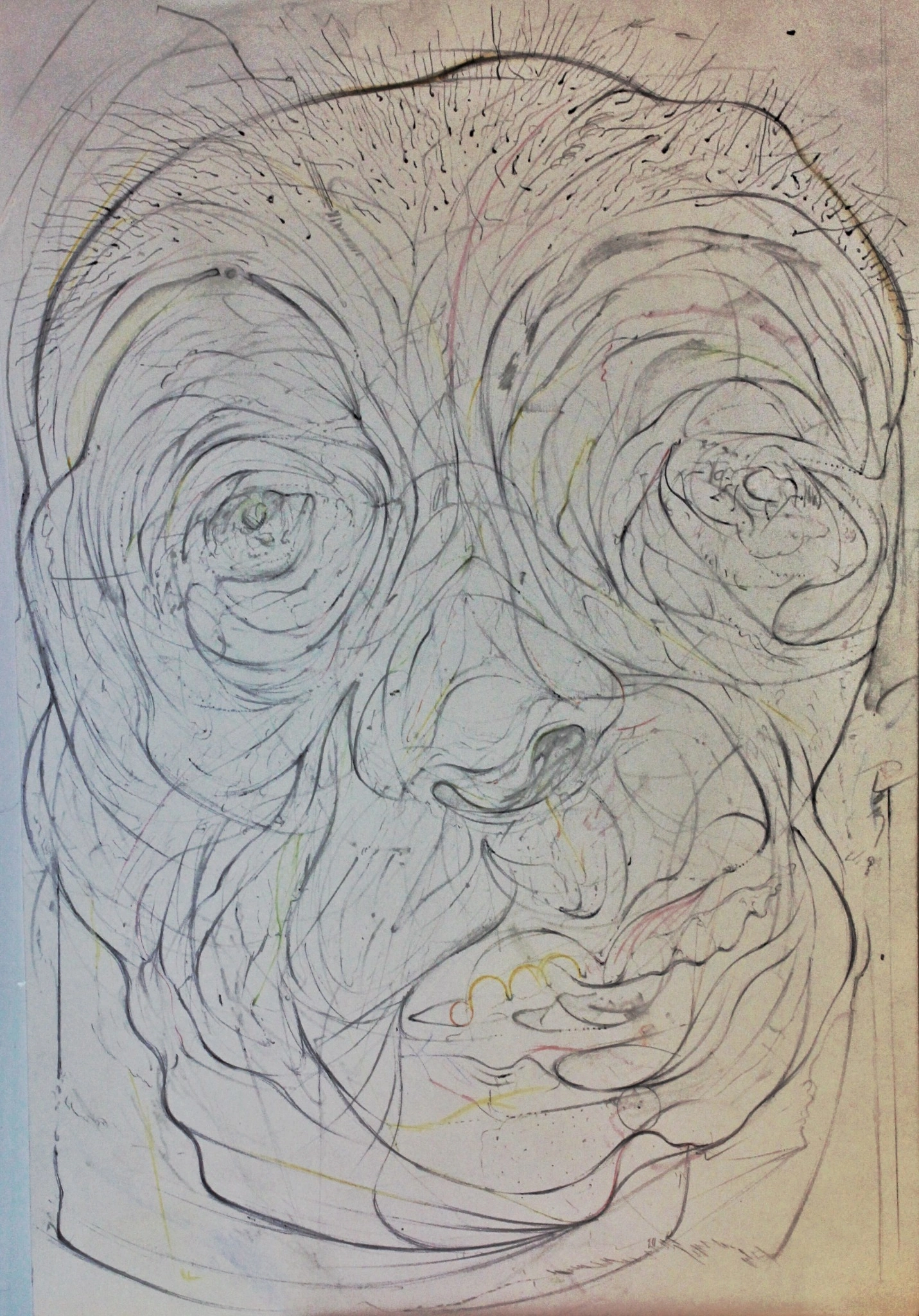 Rostro de gran formato construido con líneas de lápiz y leves acentos de color